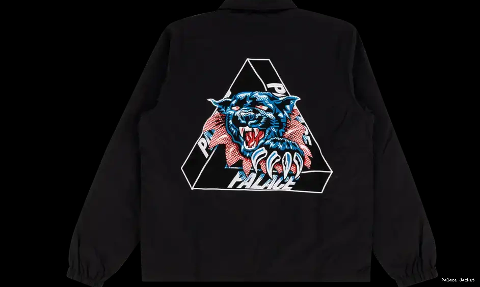 Palace Coach Ripped Jacket 0616